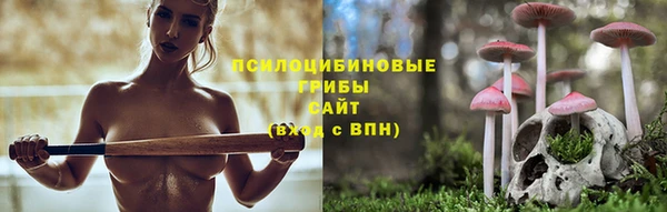 mdma Кукмор