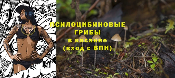 mdma Кукмор