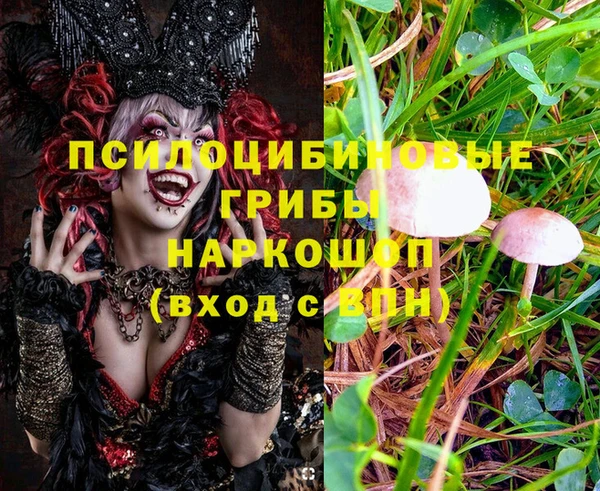 стаф Куйбышев