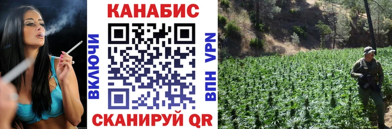 Марихуана план  Купить  Чадан 
