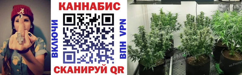 Марихуана гибрид Чадан